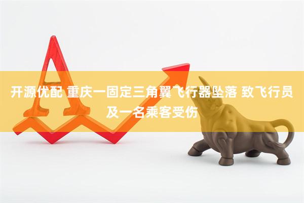 开源优配 重庆一固定三角翼飞行器坠落 致飞行员及一名乘客受伤
